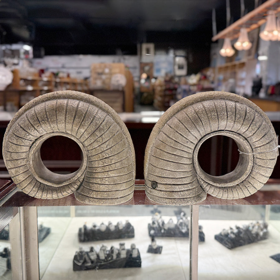 Billy Moon Ram Horns Sculptural Display
