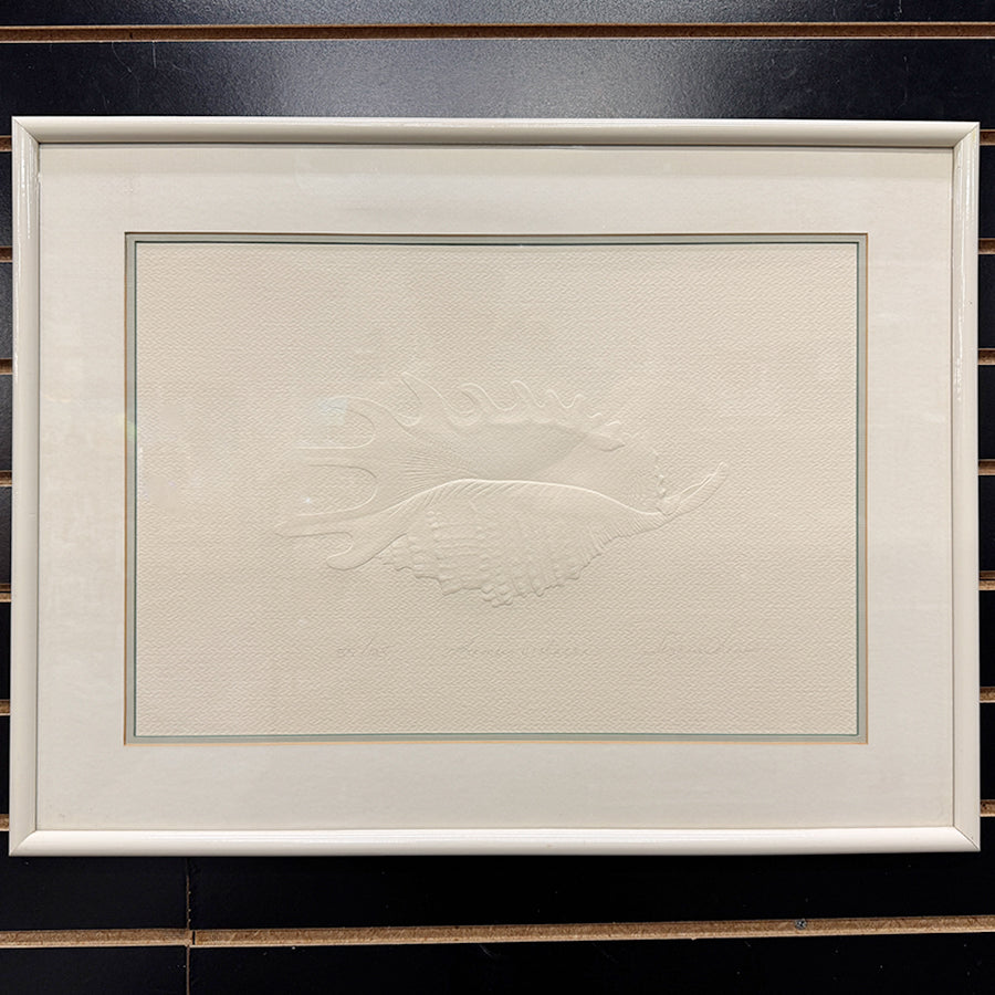 'Lambis Violacea' Embossed Shell, Ed.55/125