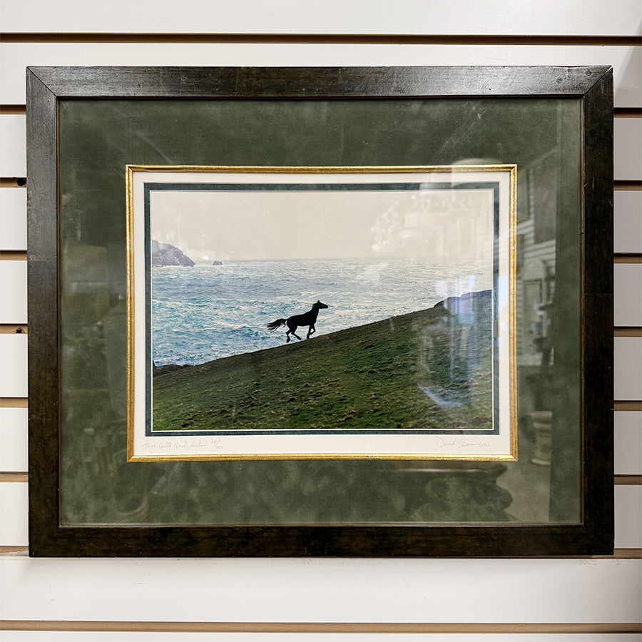 Three Castle Head Ireland landscapeprint with horse hill and water