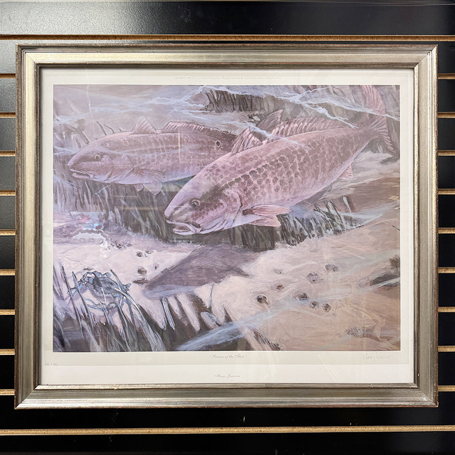 AS IS  Princess of the Flats realistic fish in water