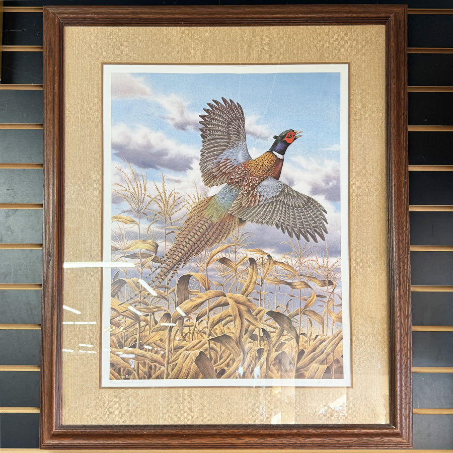 Pheasant Ascending realistic bird in landscape